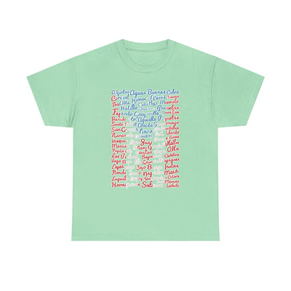 Puerto Rico Cities & Flag T-Shirt — Vintage Road Sign Tee