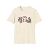 Tattered USA T-Shirt Worn Look