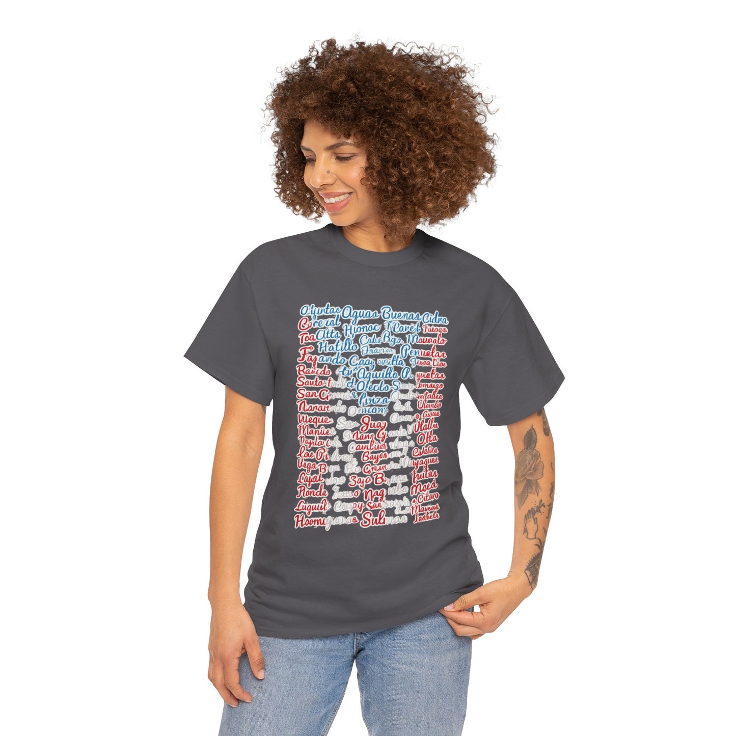 Puerto Rico Cities & Flag T-Shirt — Vintage Road Sign Tee