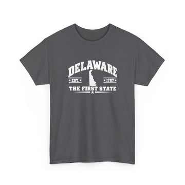 Delaware The First State T-Shirt — State Outline College Graphic Tee