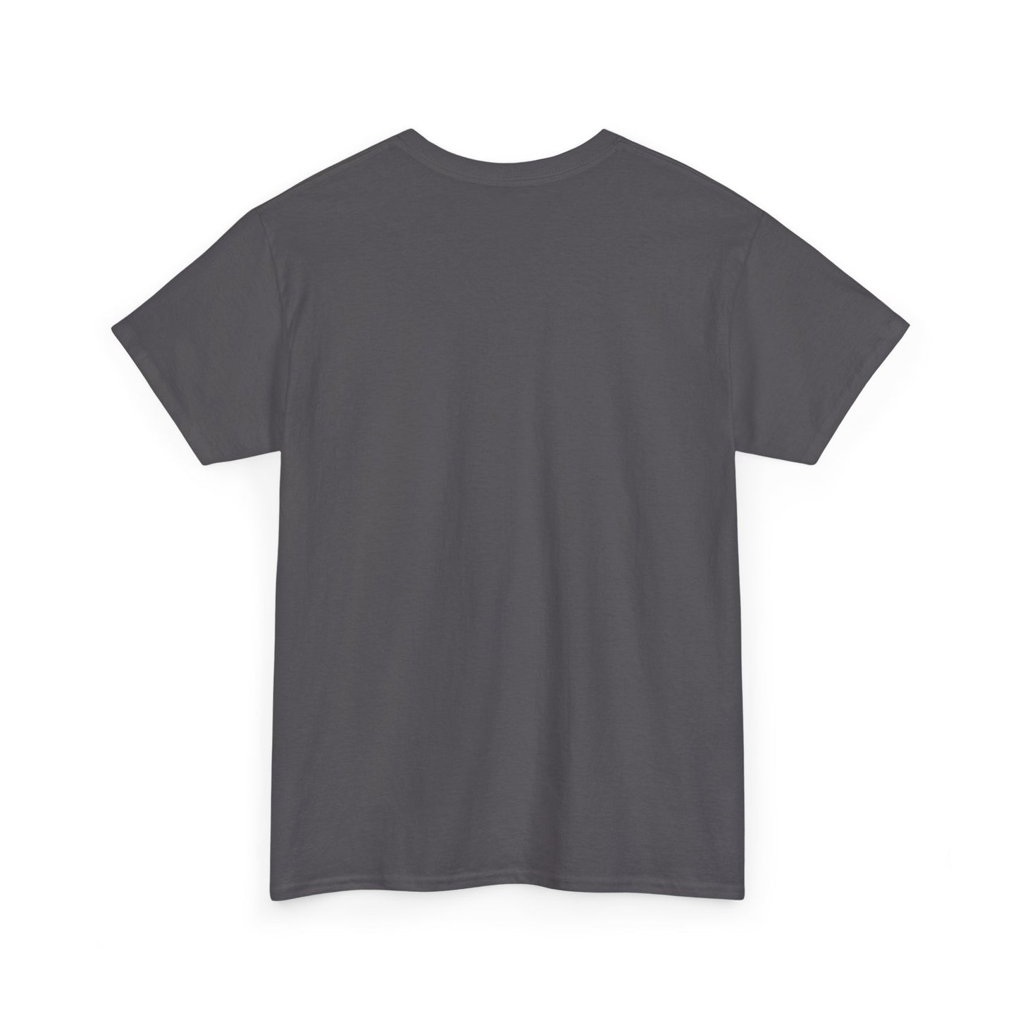 Puerto Rico Cities & Flag T-Shirt — Vintage Road Sign Tee