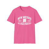 New Mexico T-Shirt - The Land of Enchantment Vintage State Tee
