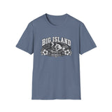 Big Island Hawaii T-Shirt – Vintage Hibiscus Surf Graphic Tee
