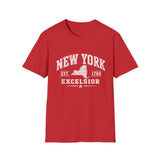 New York Excelsior T-Shirt — Vintage State Map Tee (Est. 1788)