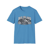 Big Island Hawaii T-Shirt – Vintage Hibiscus Surf Graphic Tee