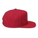 1776 Stars Embroidered Flat Bill Snapback Hat