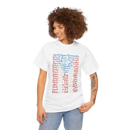 Puerto Rico Cities & Flag T-Shirt — Vintage Road Sign Tee
