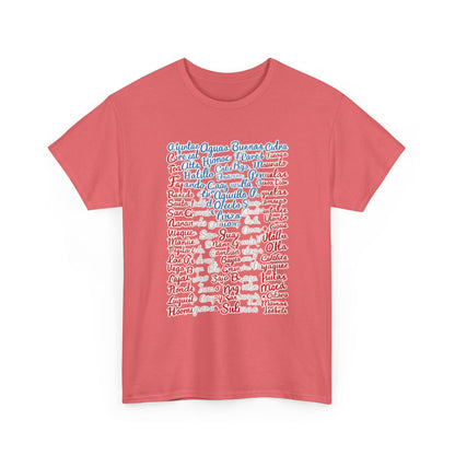 Puerto Rico Cities & Flag T-Shirt — Vintage Road Sign Tee