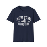 New York Excelsior T-Shirt — Vintage State Map Tee (Est. 1788)