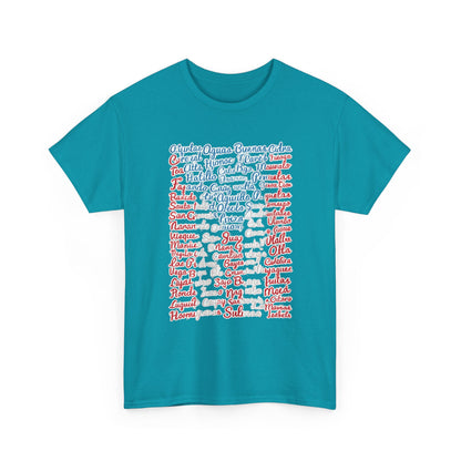 Puerto Rico Cities & Flag T-Shirt — Vintage Road Sign Tee