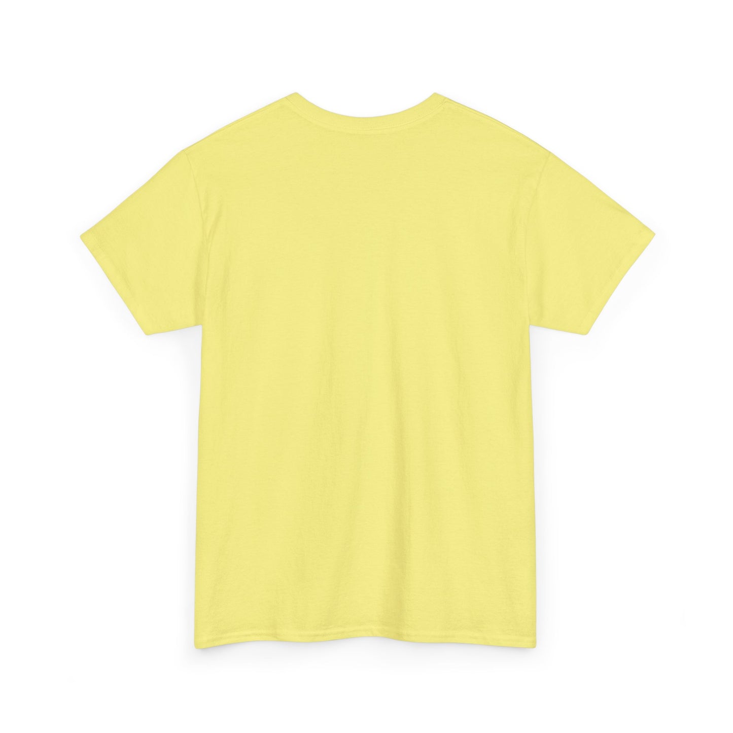 Puerto Rico Cities & Flag T-Shirt — Vintage Road Sign Tee