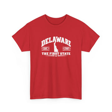Delaware The First State T-Shirt — State Outline College Graphic Tee