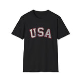 Tattered USA T-Shirt Worn Look