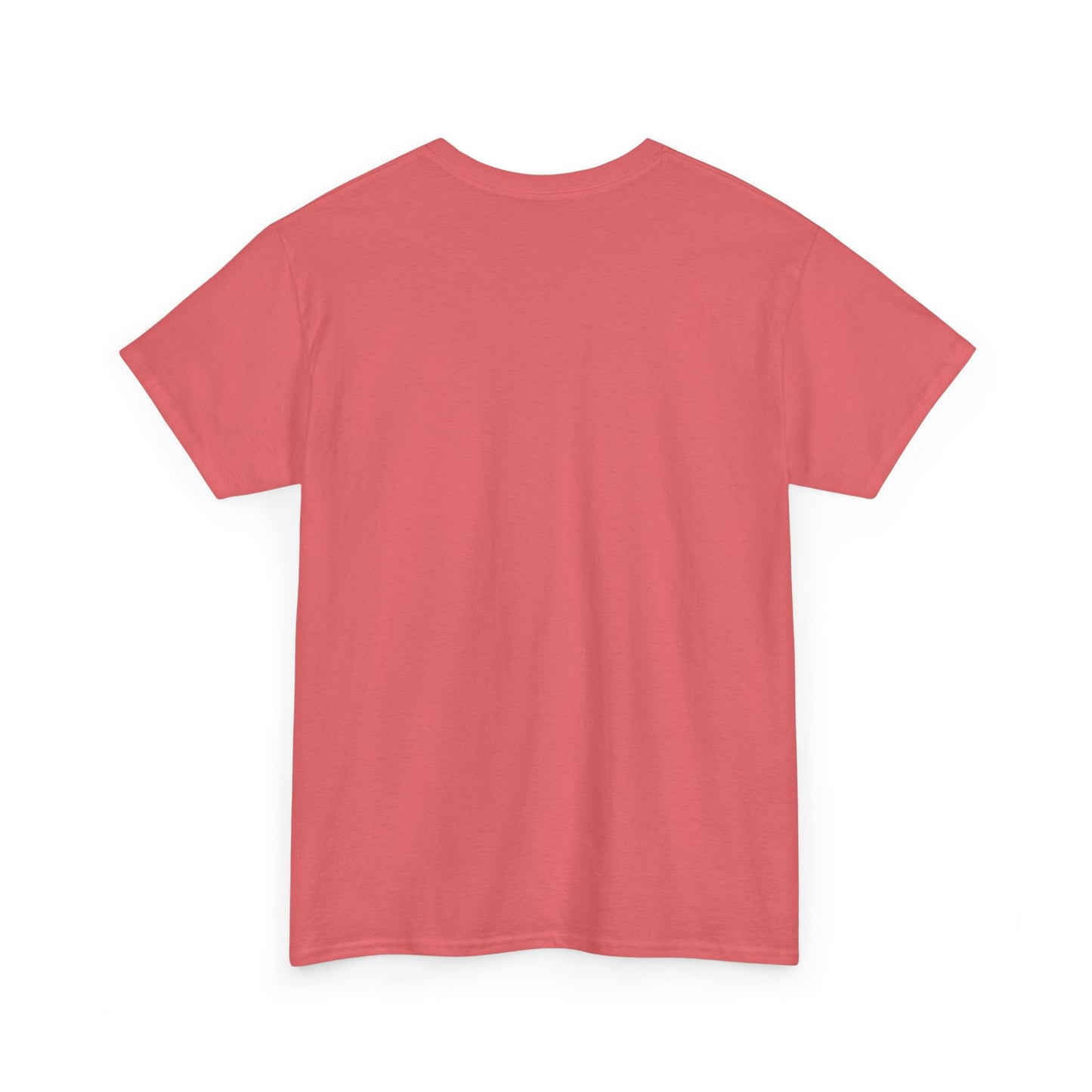 Puerto Rico Cities & Flag T-Shirt — Vintage Road Sign Tee