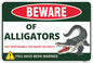 Beware Alligator Sign - 8 x 12 Inches - Aluminum