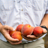 Fresh Georgia Peaches - Box of 13 Pearson Farms