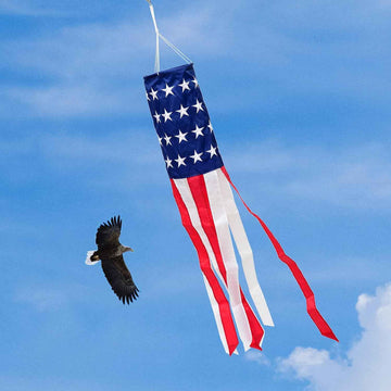 American Flag Windsock with Embroidered Stars
