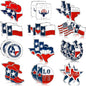 State of Texas Lapel Pins