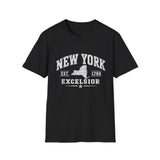 New York Excelsior T-Shirt — Vintage State Map Tee (Est. 1788)