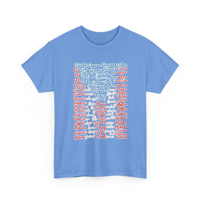 Puerto Rico Cities & Flag T-Shirt — Vintage Road Sign Tee