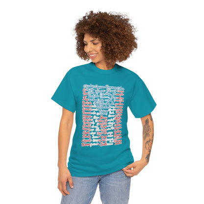 Puerto Rico Cities & Flag T-Shirt — Vintage Road Sign Tee