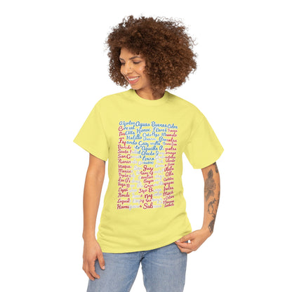 Puerto Rico Cities & Flag T-Shirt — Vintage Road Sign Tee
