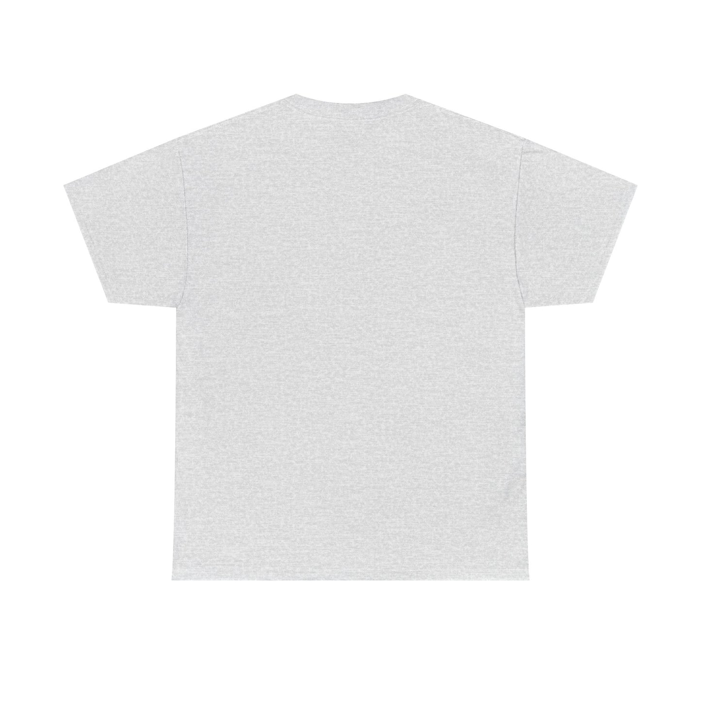 Puerto Rico Cities & Flag T-Shirt — Vintage Road Sign Tee