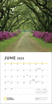 America s Great Road Trips 2025 Wall Calendar product photo 4