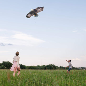 Bald Eagle Large Kite 70 product photo 3