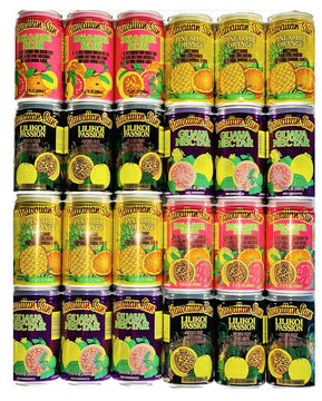 Hawaiian Sun Drinks 24 Pack Sampler Pass O Guava Pineapple Orange Lilikoi Passion Fruit Guava product photo 3