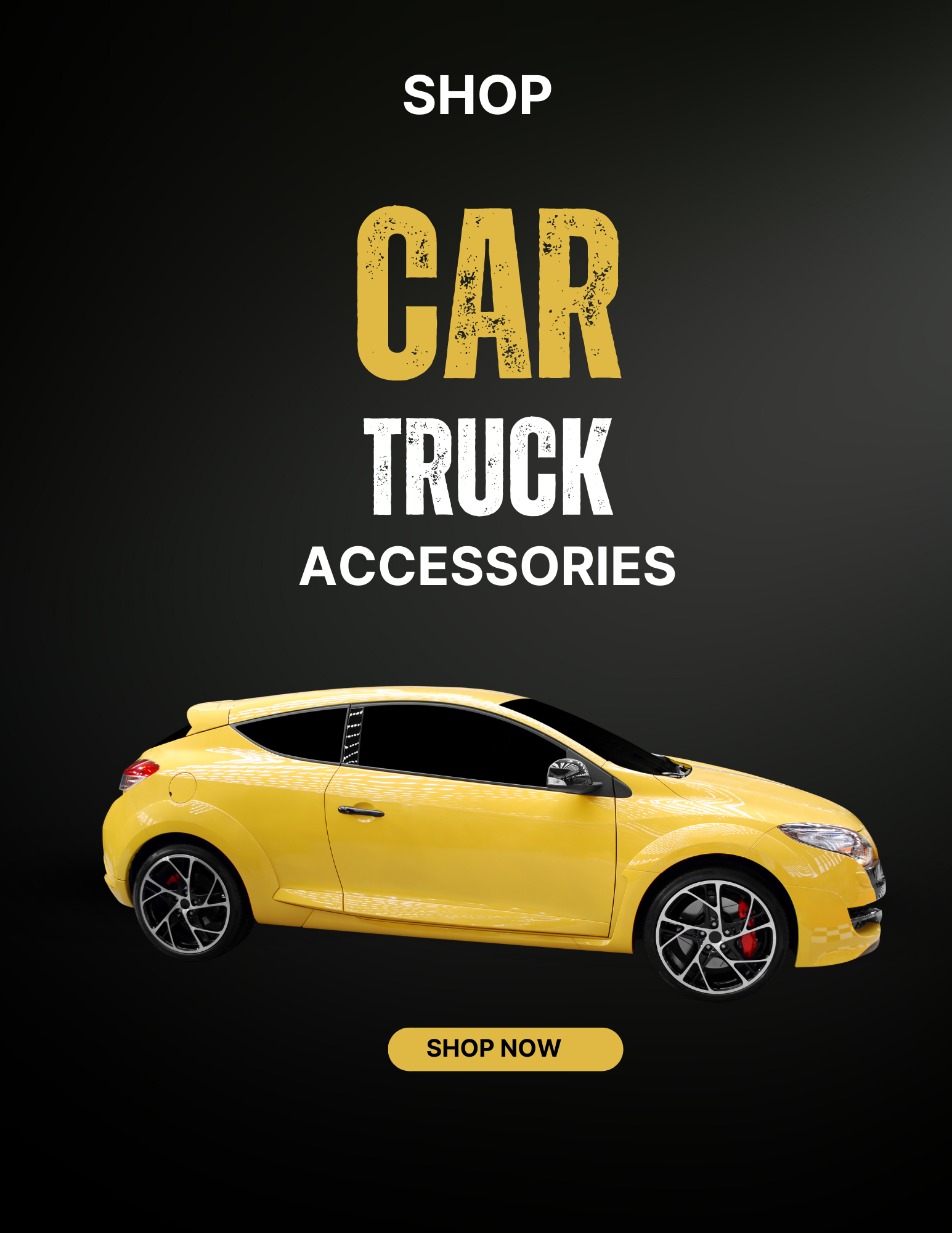 Car & Truck Accessorie