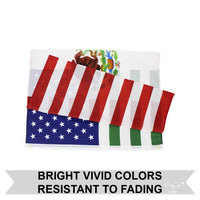 USA Mexico Friendship Flag